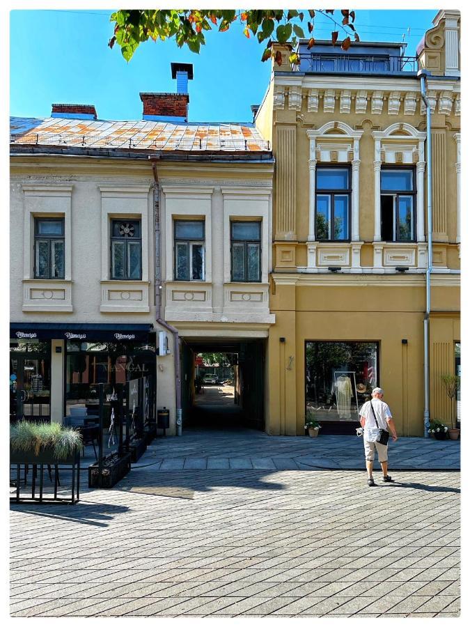 Apartaments In The City Centre Kaunas Eksteriør billede